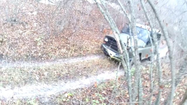 Охота на кабана