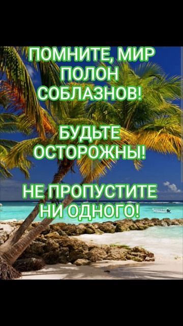 Мир полон соблазнов.  #мир #соблазн #шутка #андрейдемянец #юмор #прикол #топ #смех