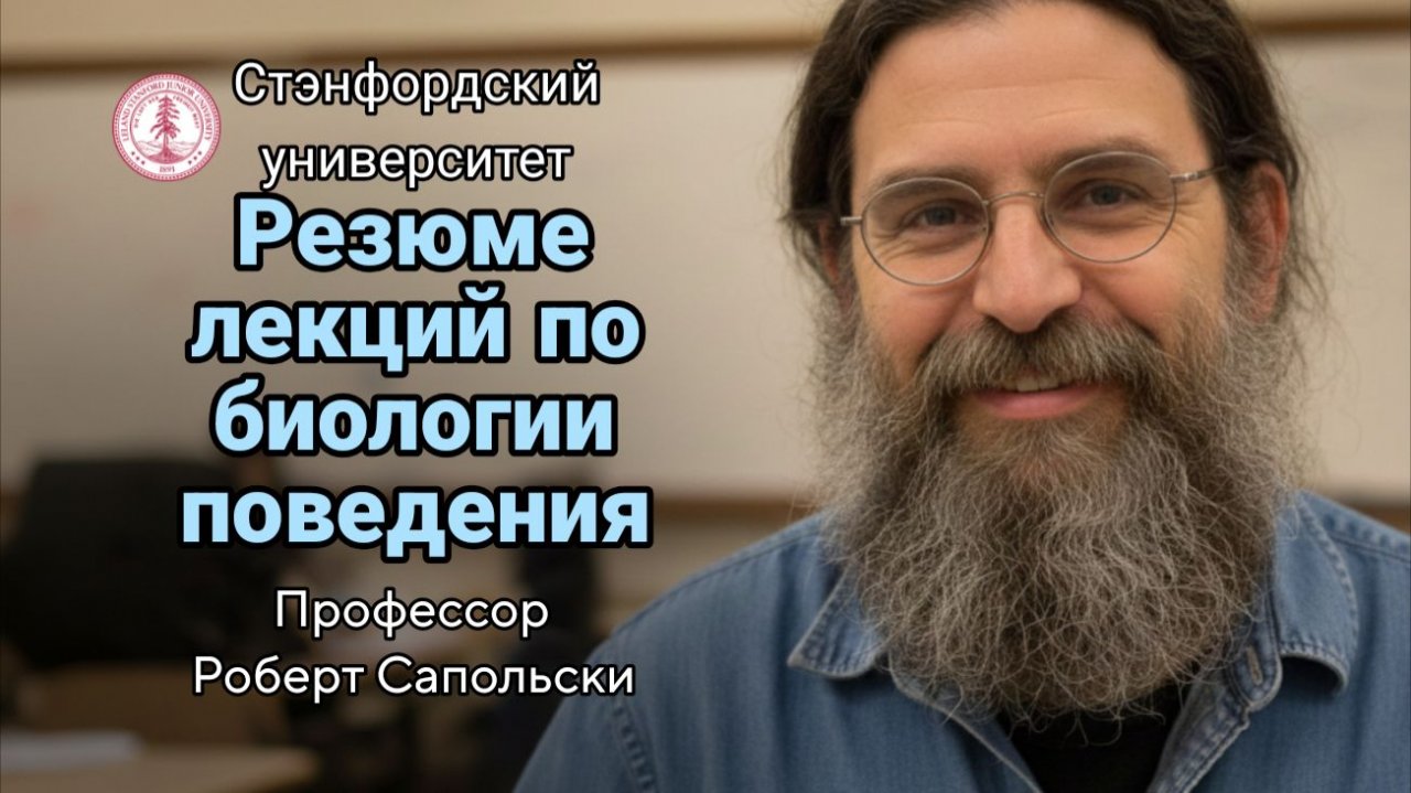 10- Введение в мозг