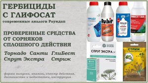Гербициды с глифосат - обзор самых известных средств от сорняков сплошного действия (Раундап) 2025г.