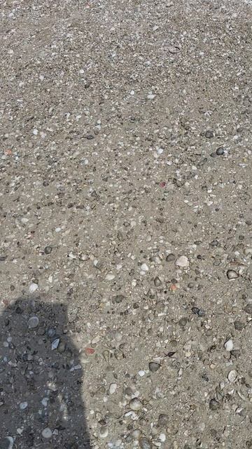 Круиз Персидский залив Остров Сир Бин Яз  #путешествие #круиз #семья #саяхат #демалыс #отдых #отпуск