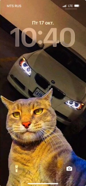 играем в Calof duty