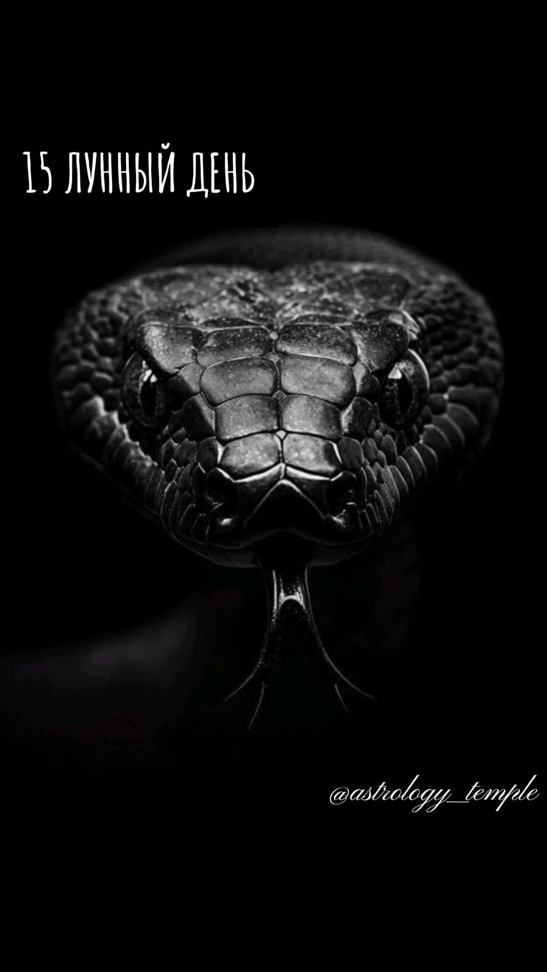 📅 Пятница, 5.12.2025 🌛 15 Лунный день Луна в Близнецах (для Близнецов знаковый период) 🌕 смотреть онлайн