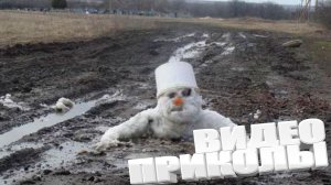 ВИДЕОПРИКОЛЫ \ КРУТЫЕ ПРИКОЛЫ 2025 \ НОВЫЕ ПРИКОЛЫ \ СМЕШНЫЕ ПРИКОЛЫ 2025 ЮМОР