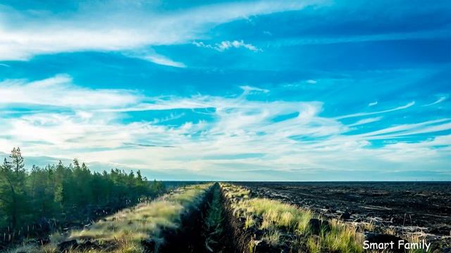 Фрукты - учимся вместе - для детей