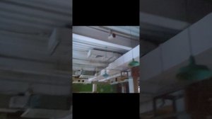 г.Хабаровск, ул.Муравьева-Амурского, д.36