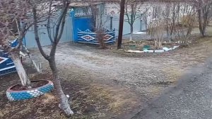 НАПЕКЛА С УТРА🥐 СВАРИЛА БОРЩЕЦ🍲 ПРИБИРАЮ🧤 🏙ГОТОВА.