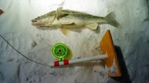 Закрытие сезона. Последняя Рыбалка. Лучший Моменты и Самые Крутые Поклёвки. Ловим Кучу Рыбы.