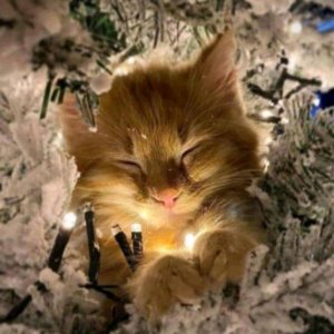 пытаемся играть