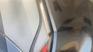 WhatsApp Video 2025-11-13 at 09.43.58