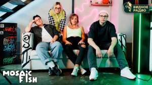 Mosaic Fish. Программа Видное Live от 09.12.25