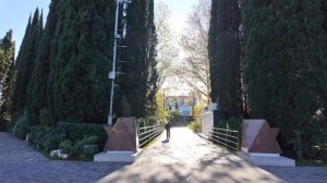 Сочи сегодня: предновогодняя атмосфера