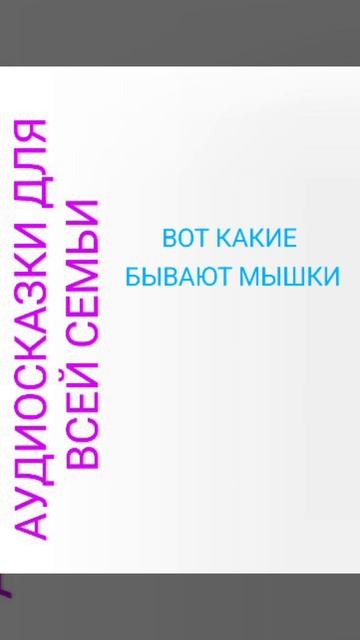 ВОТ КАКИЕ БЫВАЮТ МЫШКИ