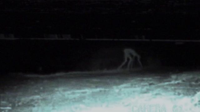 Охранник заметил нечто проходящее мимо камеры