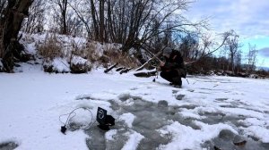 Уехал Рыбачить подальше от всех. Нашёл окуней и сарогу. Хорошо получилось.