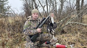 ОХОТА НА ТЕТЕРЕВА С МЕЛКАШКОЙ В ДЕКАБРЕ. МЕТКАЯ СТРЕЛЬБА В МОРОСЬ.