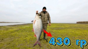 Поймал на реке крупную тарань на бортовые удочки.