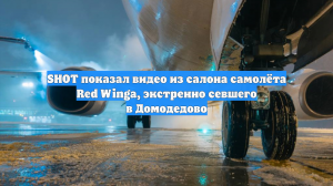 SHOT показал видео из салона самолёта Red Winga, экстренно севшего в Домодедово