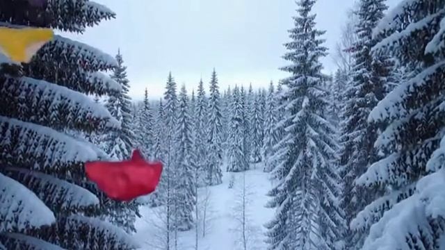 Дарите женщинам трусы