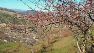 Осень в горах Дагестана #вэтотдень #природныепейзажи#горы