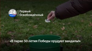 «В парке 50-летия Победы орудуют вандалы!» 04.12.2025