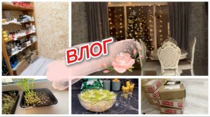 Домашний быт в предновогодние дни, мотивация, рутина