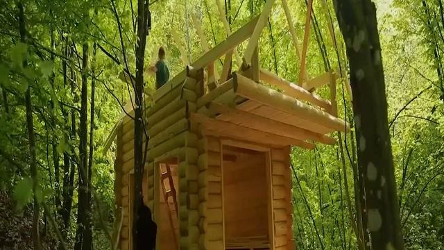 Строительство лесного дома
