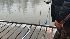 Основной водоём.