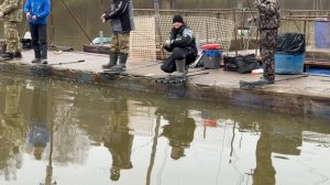 Поимки спорт зона