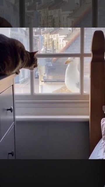 Наконец-то они обо всём поговорили 😅