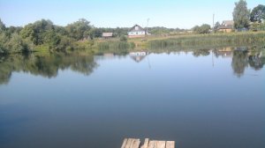 Вот так я хожу гуляю и снимаю видео. Поэт и песенник Нилова Светлана