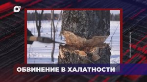 В порядке! / Проверка по факту смерти / Ребёнок получил травму / 04.12.25