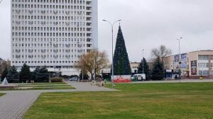 У нас поставили главную ёлку города. Красавица.