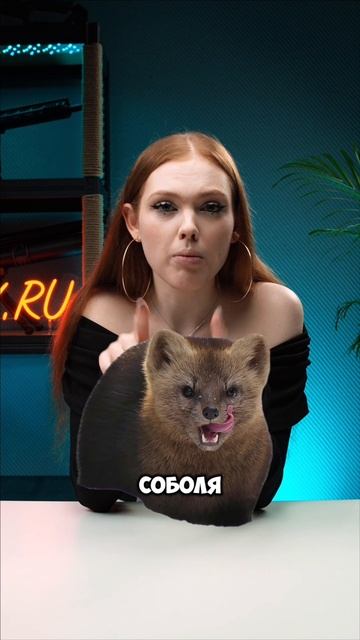 ТЫ – БРАКОНЬЕР! #shorts #охота