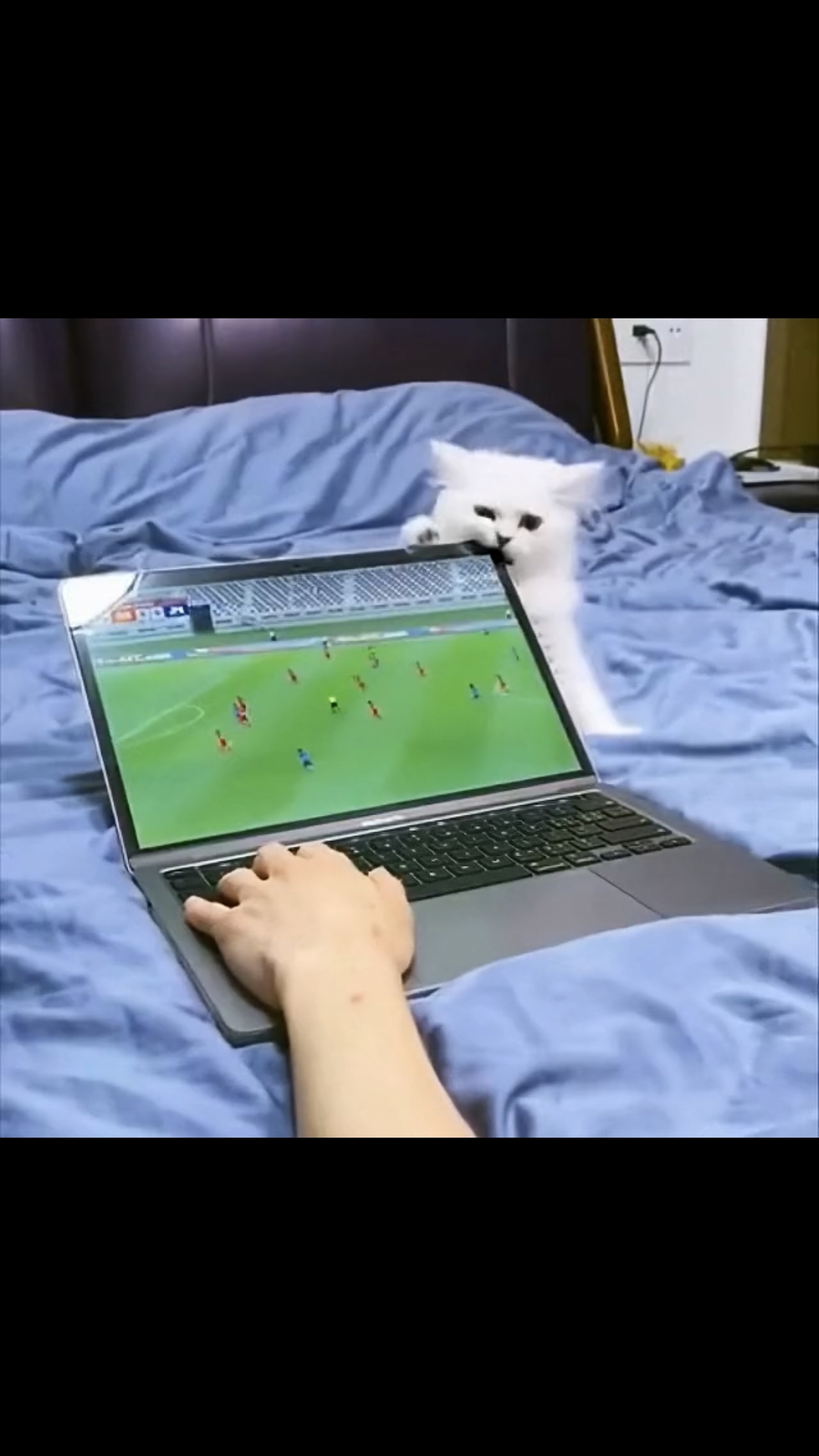 Преступление и наказание