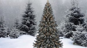 В лесу родилась ёлочка, детская песня, новогодняя