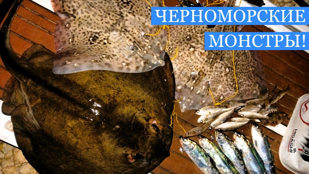 От улова до тарелки: гастрономия скатов Чëрного Моря - зимняя рыбалка в Севастополе! смотреть онлайн