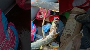 рыбалка Белое озеро.