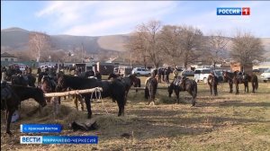 Конный переход к 80-летию Победы завершился в ауле Красный Восток