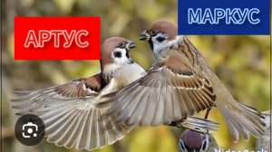 ✨ПЕРСОНАЖИ МУЛЬТФИЛЬМА БЕЛФОРТ И ЛЮПИН В РЕАЛЬНОЙ ЖИЗНИ. 2-АЯ. ЧАСТЬ.✨