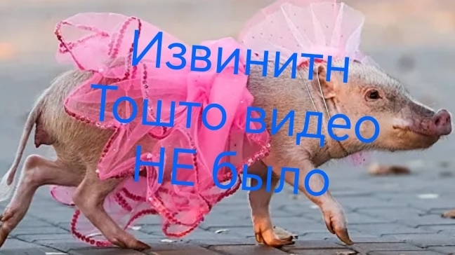 Извините