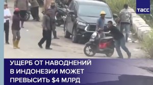 Ущерб от наводнений в Индонезии может превысить $4 млрд