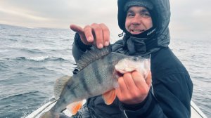 СПИННИНГ для НАЧИНАЮЩИХ!КАК НАУЧИТЬСЯ  ЛОВИТЬ на СПИННИНГ НОВИЧКУ? КАК ПОЙМАТЬ СВОЮ ПЕРВУЮ ЩУКУ?