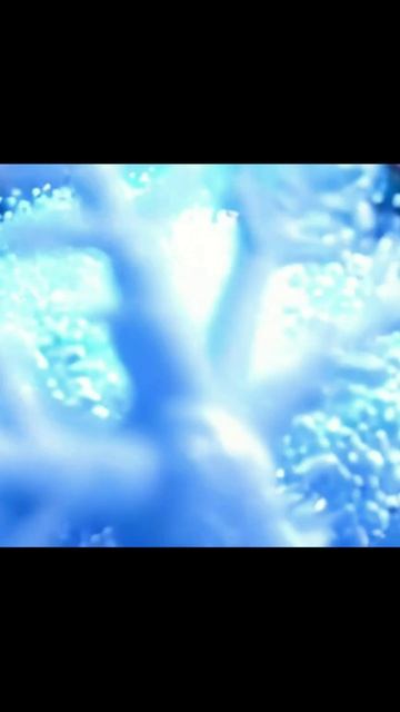 Детская Песенка В Лесу Родилась Ёлочка 🐰 Мультик со Зверушками Новый Год!