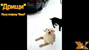 "Дрищи"