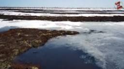 ОХОТА НА ГУСЯ ЯМАЛ