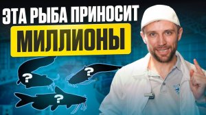 5 САМЫХ ПРИБЫЛЬНЫХ Видов РЫБ для Выращивания на Ферме УЗВ в 2025-2026 Году