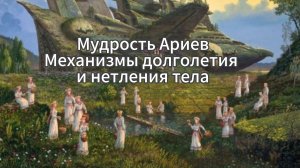 Механизмы долголетия и нетления тела.