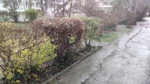 Один из дней города Евпатории | 8 января 2021 год | Крым | ХАН БАТОН XAH 6ATOH | VID_20210108_133955