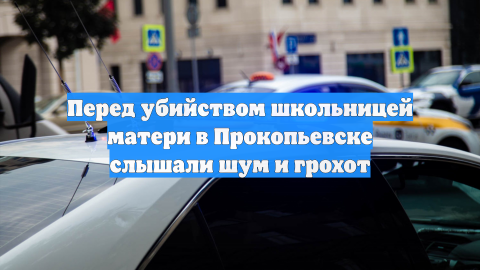 Перед убийством школьницей матери в Прокопьевске слышали шум и грохот